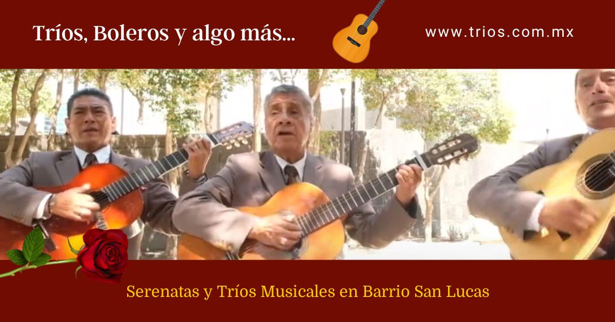 Serenatas y Tríos Musicales en Barrio San Lucas