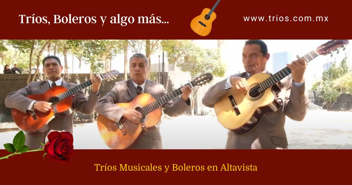 Tríos Musicales y Boleros en Altavista